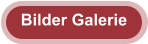 Bilder Galerie